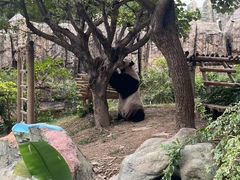 -东莞香市动物园