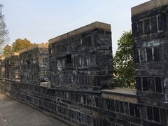 -嘉定紫藤园
