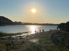 -丁香湖公园