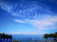 -火炬八街咖啡店