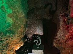 -哈尔滨北方森林动物园