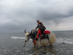 -青海湖国家重点风景名胜区