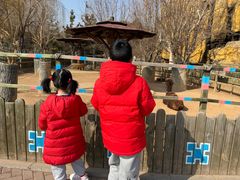 -石家庄市动物园