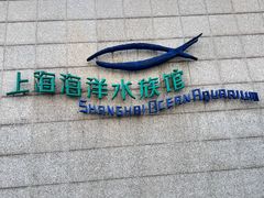 -上海海洋水族馆