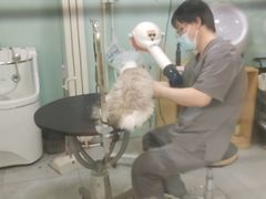 -中农大我爱我爱动物医院·核磁CT·猫病·24小时夜诊中心(石佛营店)