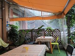 -满格嗦新疆椒麻鸡火锅.炒米粉(川大江安校区店)