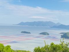 -花竹村