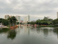 -荔湾湖公园