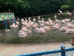 -广州长隆飞鸟乐园
