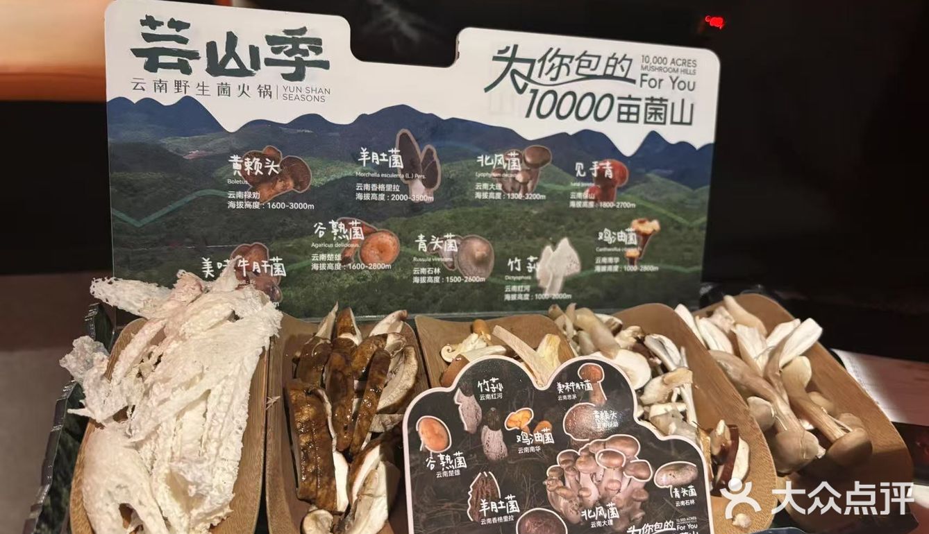 芸山季体验不一样的美食盛宴