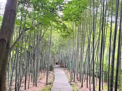 -杭州黄龙洞