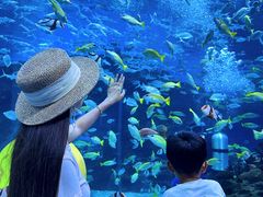 -海合安成都极地海洋公园
