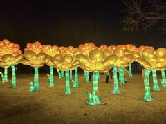 -洛阳市隋唐城遗址植物园