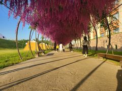 -嘉兴清池酒店温泉