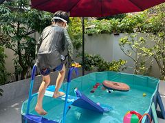 -美的鹭湖森林度假区