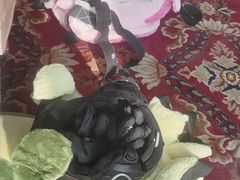 -蓟洲国际滑雪场