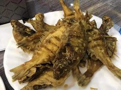 -林之六八·6886大连老菜馆