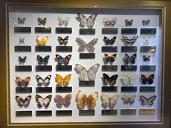 -上海昆虫博物馆