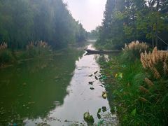 -昆山城市生态森林公园