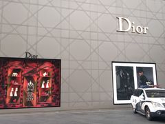 -DIOR迪奥(德基广场女装店)