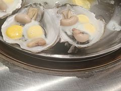-飞尝蚝·顺德菜·鱼生(顺德总店)