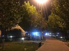 大堂-九十九顶毡房(阜石路店)