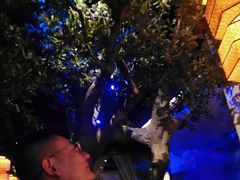 -绿茶餐厅(燕郊永旺店)