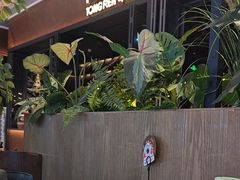 -同仁四季椰子鸡(宝安壹方城店)