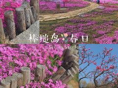 -棒棰岛宾馆景区