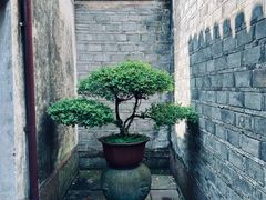 -天一阁博物院