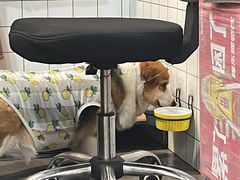 -老四川平头酸菜鱼(衙前店)