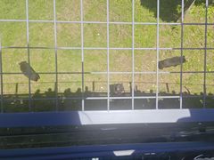 -合肥野生动物园