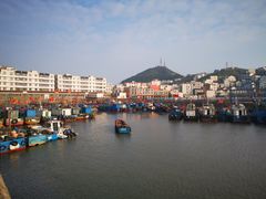 -枸杞岛