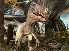 -湖南省地质博物馆