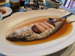 -沪碟·精菜坊(闵行店)