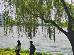 -美兰湖景区