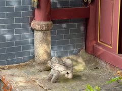 -腾冲云峰山