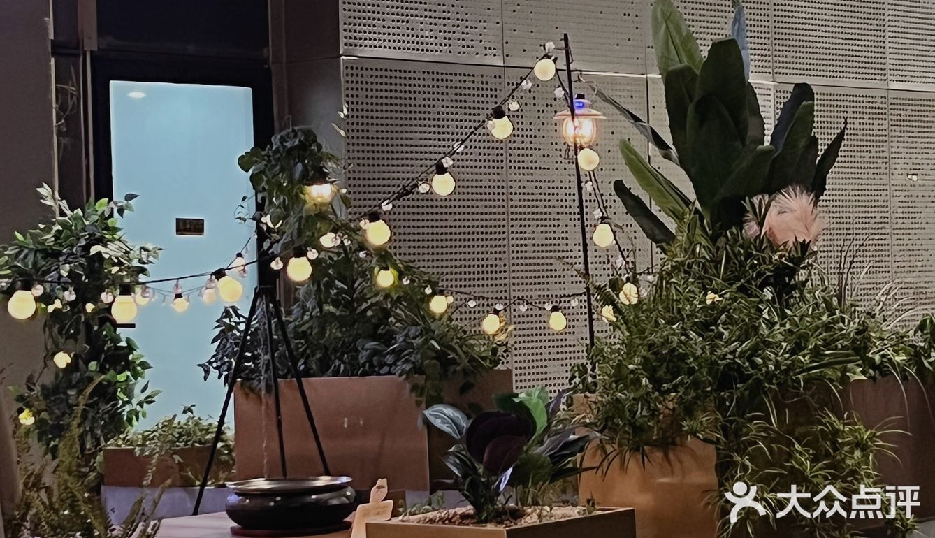 杭州首家！户外露营⛺️烤肉