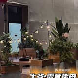 杭州首家！户外露营⛺️烤肉