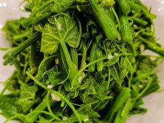 -北塘海鲜·天津菜·鲅鱼水饺是一绝(大光明桥旗舰店)
