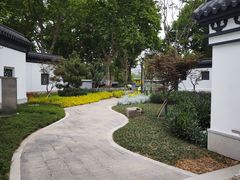 -泰州凤城河风景区-泰山公园