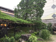 -中村藤吉(本店)