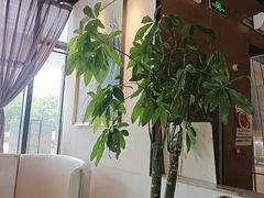 -洞庭鱼香(万科店)