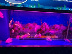 -大明湖海底世界