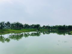 -金谷域澳洲庄园