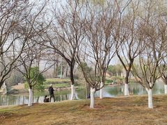 -洋湖国家湿地公园