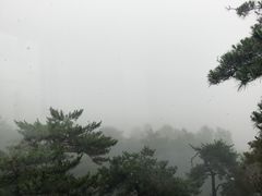 -庐山风景区花径公园