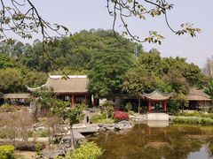 -顺峰山公园