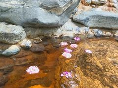 -湖泉半山温泉