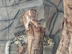 -青藏高原野生动物园
